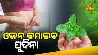 Mint For Weight Loss: Here's How Pudina Leaves Will Help To Shed Extra Kilos | Nandighosha TV