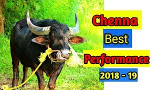 Kambala - Chenna best performance 2018-19