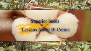 Superior Seeds: Lessons About Bt Cotton