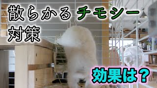 「うさぎと庭」散らかすルル。