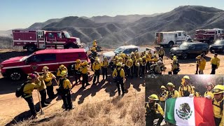 Bomberos mexicanos llegan a las montañas de Los Angeles para combatir los incendios