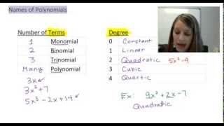3: Polynomial Classification