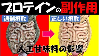 【筋トレ科学】プロテインパウダーの過剰摂取による副作用 　~プロテインで性機能低下・肥満・癌になる？！~