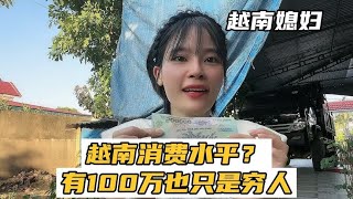 越南媳妇我有100万，在越南可以当上有钱人吗？越南消费水平？