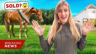 FMA auf unserem PONYHOF ❤️ (!!! Es gibt so viele NEWS!!! Und ein NEUES PONY 😨)