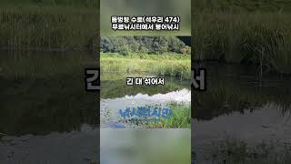 (주소공개) 둠벙형 무료낚시터 찾으시나요?  #붕어낚시 #민물낚시 #무료낚시터