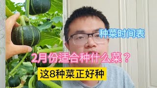 2月份适合种什么菜这8种菜正好种，大家别错过了#农业种植