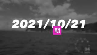 2021/10/21 朝　逗子ウインドサーフィン　フリーライドの道具でどれくらいスピード出るの？TAKUMAプロもフリーライドしてた希少