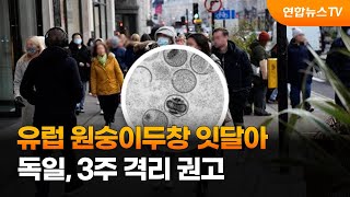 유럽 원숭이두창 잇달아…독일, 3주 격리 권고 / 연합뉴스TV (YonhapnewsTV)