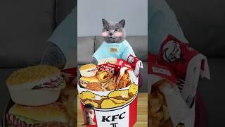 KFC FOOD vs POOR BOY #shorts #poor #kfc