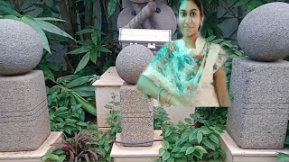 అందమైన పక్షులు వాటి ధ్వని🐦🐦🐦🐦🕊️// Beautiful Birds and its noise //