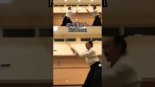 WOW!合氣 | 剣対剣 : Kan Tai Ken | 切り落とし 巻き落とし 摺り上げ面 KiriOtoshi MakiOtoshi SuriAgeMen :Sword #martialarts