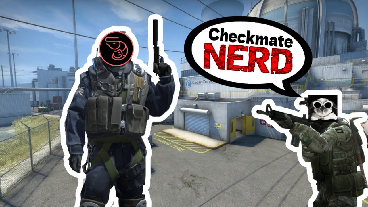 The Average Cs2 Experience Youtube