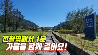 🚈 옛 경춘선 5km 환상의 트레킹 코스/📸 깊어가는 가을을 함께 걸어요/대중교통 당일치기 여행