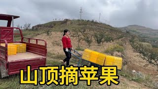 山顶摘苹果，喜欢家乡一草一木，压力大的时候朝着大山深沟走一走