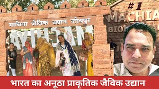 Machiya Biological park Jodhpur || Jodhpur Zoo || Jodhpur tourist places #jodhpur #travel