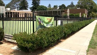 Lawn bowlers and tree huggers go head to head in Coronado