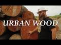 Creating A More Sustainable Guitar Industry  | Short Doc | 'Urban Wood' |