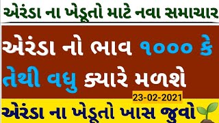 એરંડા ના ભાવ માં સતત તેજી ક્યારે આવશે l એરંડા નો ભાવ l બજાર ભાવ l khedut pak