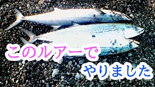 【和歌山ショアジギング】和歌山サーフショアジギング　鰤　サワラ狙い　釣行２０２３年２月下旬ごろ　２０２３第３回釣行前編