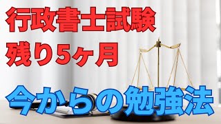 行政書士試験まで残り5ヶ月。この勉強法で絶対合格できる！