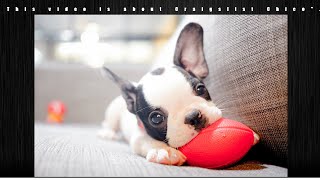 Craigslist+Chico | "Craigslist Chico" | #craigslistchico