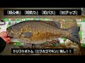 yasu 3月初心者に釣神降臨【バス釣り】川スモールマウスバス2023年3月small mouth bass fishing