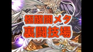 [パズドラ]極醒闇メタで裏闘技場※解説付き