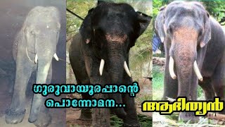 ഗുരുവായൂർ ദേവസ്വം ആദിത്യൻ|guruvayur adhithyan story|