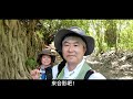 【鳳凰山 磚窯廠】徜徉藏匿在鳳山與大寮之間的悠閒健行步道，順遊具歷史價值的「磚窯廠」！