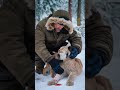 a lynx cub s cry for help heartwarming rescue in the snow