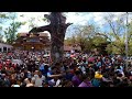 thrissur pooram 2023 in 360 degrees insta360oners