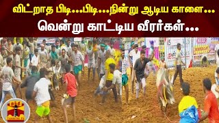 விட்றாத பிடி...பிடி...நின்று ஆடிய காளை... வென்று காட்டிய வீரர்கள்...