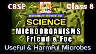 Useful and Harmful microbes ( part 2)