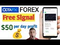 how to use Octafx Forex free signals || free forex signal