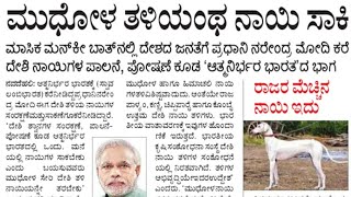 #Mudhol hounds  Speech in Modi ಪ್ರಧಾನಿ ಮೋದಿ ಅವರು ಮುಧೋಳ ನಾಯಿ ಬಗ್ಗೆ ಏನು ಇವರ ಹೇಳಿದ್ದಾರೆ ವಿಡಿಯೋ ನೋಡಿ