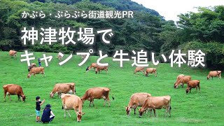 神津牧場でキャンプと牛追い体験｜富岡行政県税事務所｜群馬県