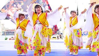 [4K] 貝塚よさこい舞人 ②　踊らんかい!!岸和田よさこいBAYSIDE!! 2024 (中央)