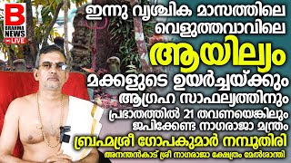 ഇതു മനസ്സില്‍ ഉരുവിട്ടാല്‍,നിമിഷങ്ങള്‍ക്കുള്ളില്‍ നാഗരാജാവിന്റെ രക്ഷ നേടാം.അത്ഭുതങ്ങള്‍ സംഭവിക്കും