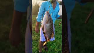 ஜிலேபி கெண்டை மீன் 🐟/jalebi kendai fish 🐠/#fishing #tamil #shortsfeed #shortvideo #shorts #ytshorts