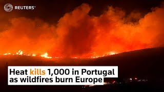 1,000 die in Portugal heatwave, wildfires burn Europe