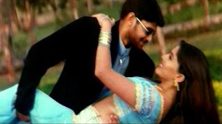 Nuvvu Naaku Nachaave Video Song || Girl Friend Movie Movie || Rohit, Anitha Patil