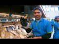 mina fish market abu dhabi uae