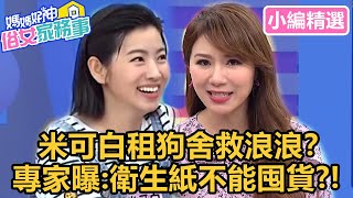 米可白租狗舍救浪浪？專家曝：衛生紙不能囤貨？！【#媽媽好神之俗女家務事】小編精選｜米可白 楊千霈 張文琦