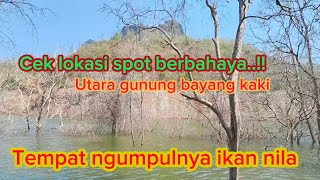 Menyusuri lokasi spot berbahaya tempat ngumpulnya ikan nila || Waduk bendo ponorogo