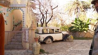 Visite de l'oasis de Gafsa