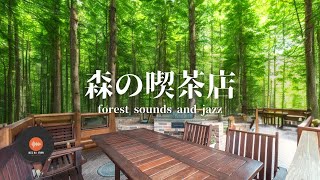 環境音＋JAZZ やさしい森の喫茶店 自然環境音 リラックスカフェ CAFE MUSIC 癒しの空間 鳥のさえずり 川のせせらぎ 作業 勉強 - 作業用BGM