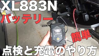 【XL883N】ハーレーのバッテリー点検と充電のやり方♪