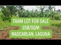 FARM LOT FOR SALE-10,000SQM MORE OR LESS-NAGCARLAN,LAGUNA