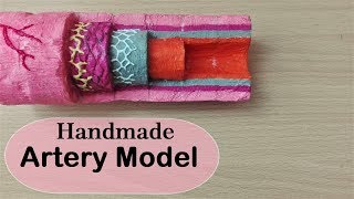 How to make Artery layers Model | 3d Styrofoam carving